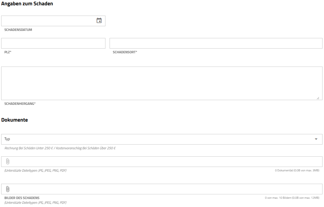 Screenshot Angaben zum Schaden