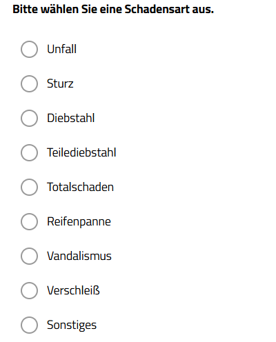 Screenshot Ansicht Schadenart