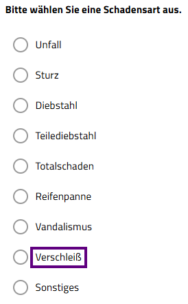 Screenshot Schadensart