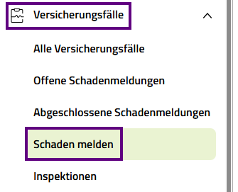 Screenshot Schadenmeldung