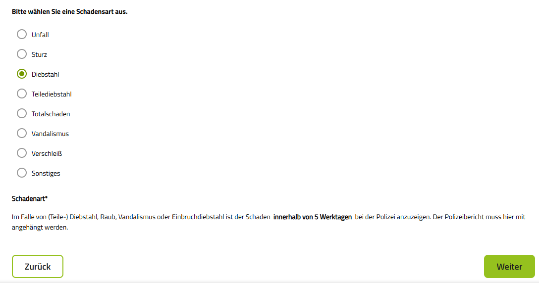Screenshot Schadensart auswählen