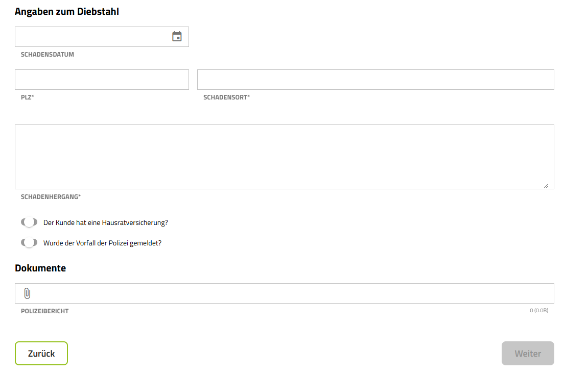 Screenshot Angaben zum Diebstahl